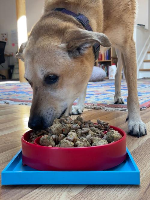 Hold 'em Suction Cup Holder for Dog Bowls & Lick Mats | USA Made - BIG FRENCHIES