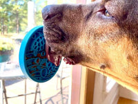 Turtle eMat-Mini Lick Mat with Suction Cups - Small Dogs & Cats | USA - BIG FRENCHIES