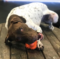 Crazy Bounce Rubber Dog Chew Toy for Power Chewers | Retrieving Ball | USA Made - BIG FRENCHIES