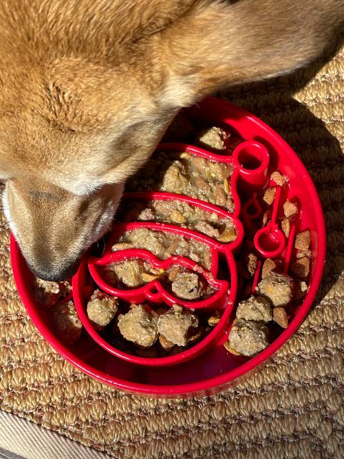 Santa Christmas eBowl Deep Slow Feeder Dog Bowl for Enrichment | USA Made - BIG FRENCHIES