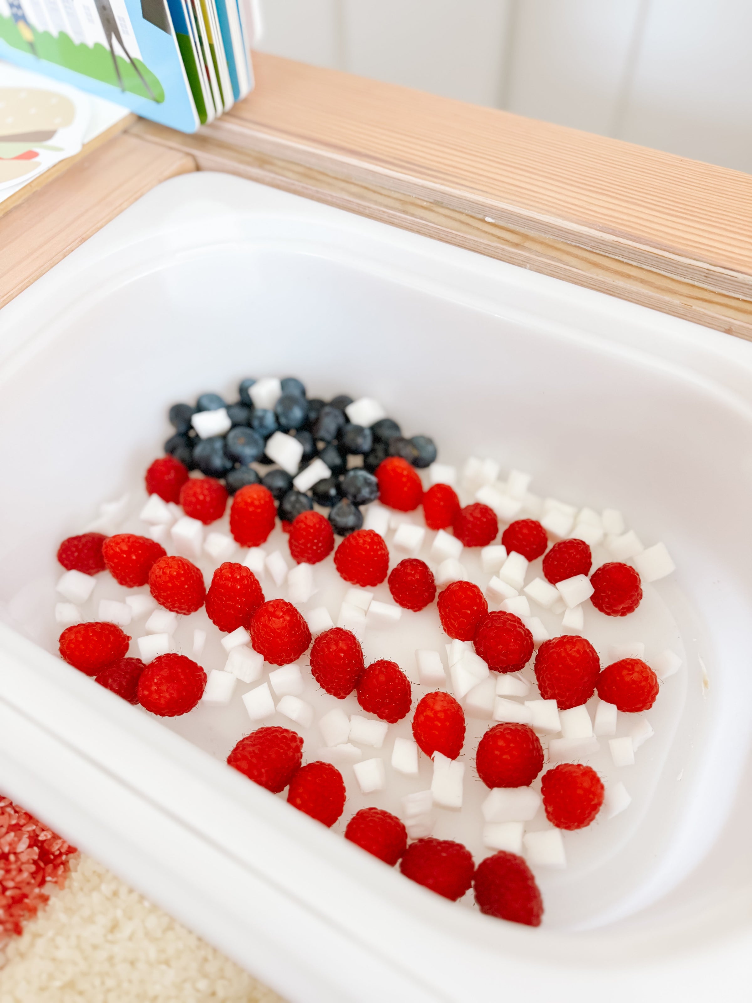 Independence Day 4th of July Printable Dramatic Play Kit