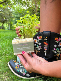 Basil & Lemongrass Tallow Soap Bar - BIG FRENCHIES