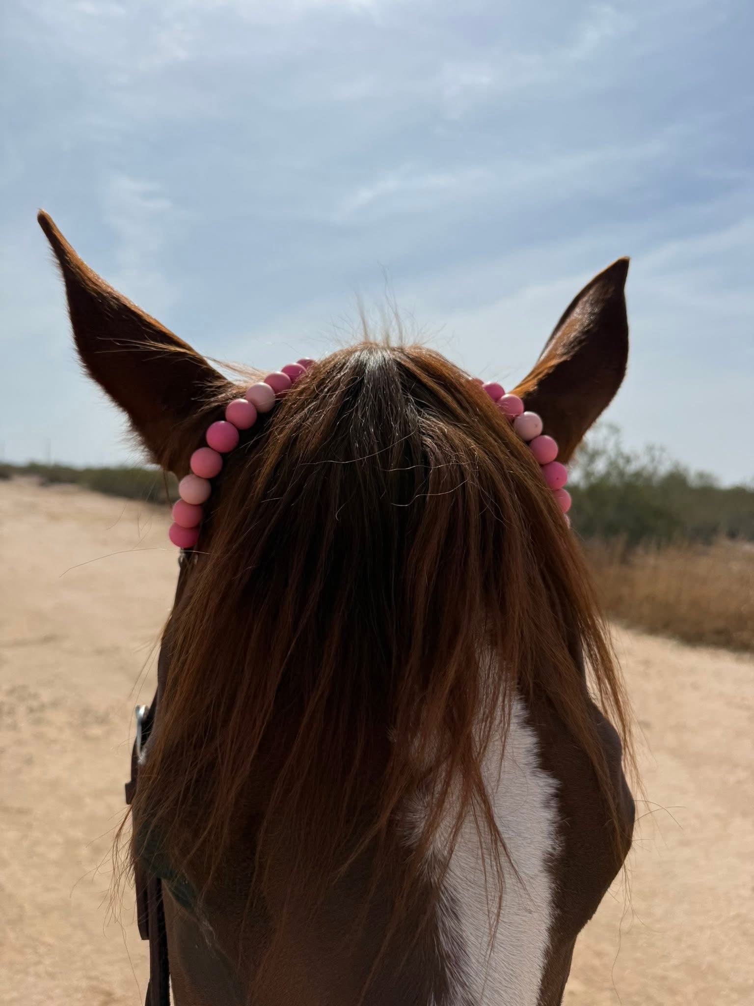 Headstall With Beaded Ears