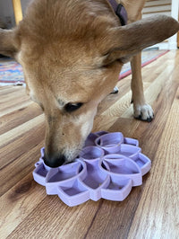 Mandala Softie eTray Shallow Slow Feeder Dog Bowl with Suction Cups | USA Made - BIG FRENCHIES