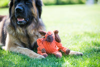 Morris Moose Knottie® Plush Dog Toy - BIG FRENCHIES