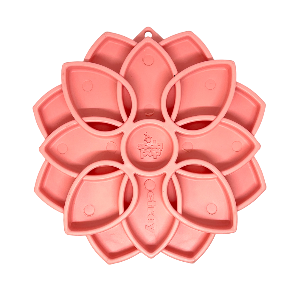 Mandala Softie eTray Shallow Slow Feeder Dog Bowl with Suction Cups | USA Made - BIG FRENCHIES