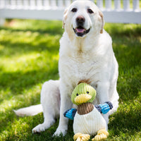 Dilly Duck Knottie® Plush Dog Toy - BIG FRENCHIES