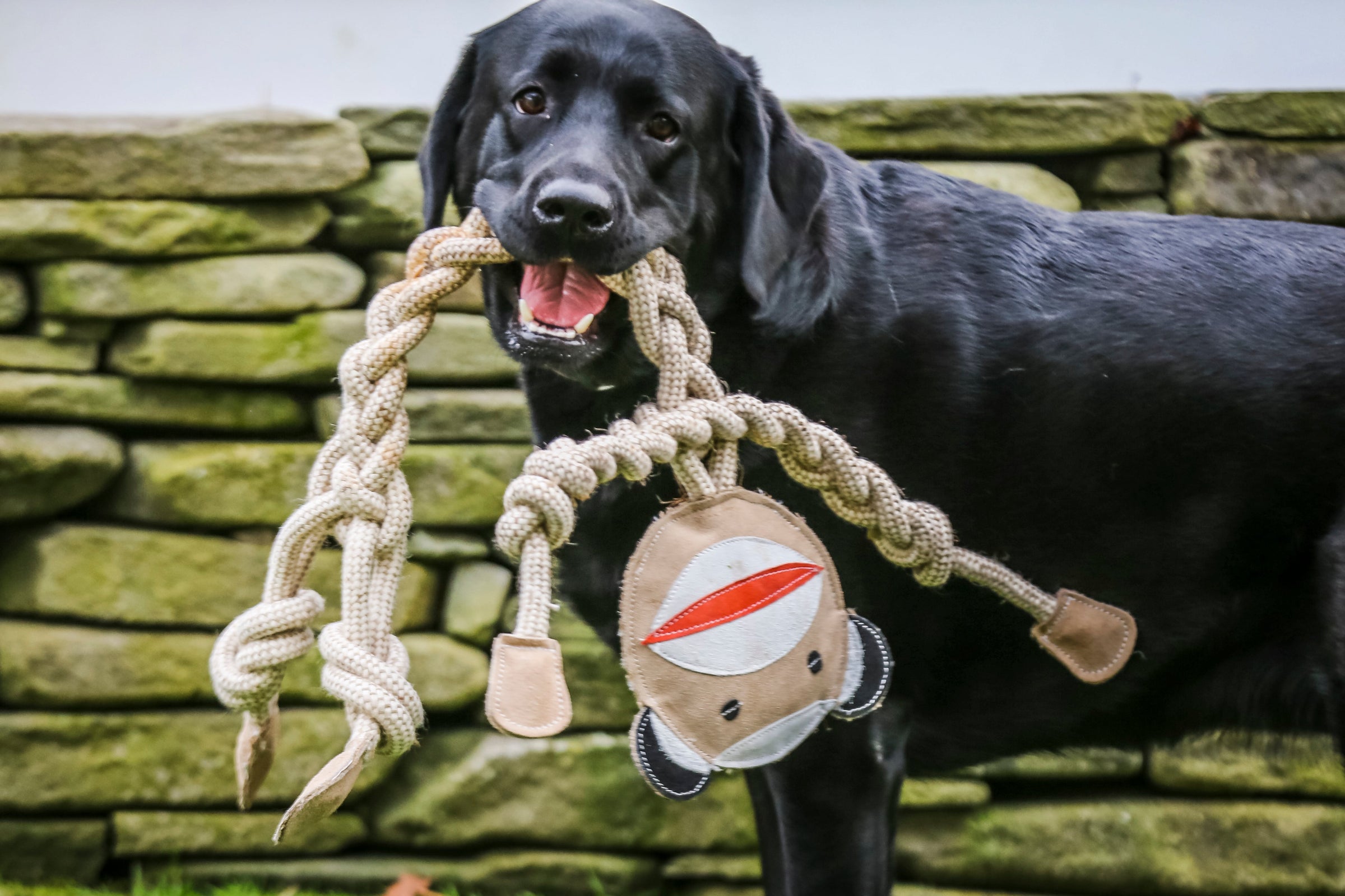 Natural Rope Knottie® Dog Toys, 3 Pack, XL (16mm rope diameter) - BIG FRENCHIES