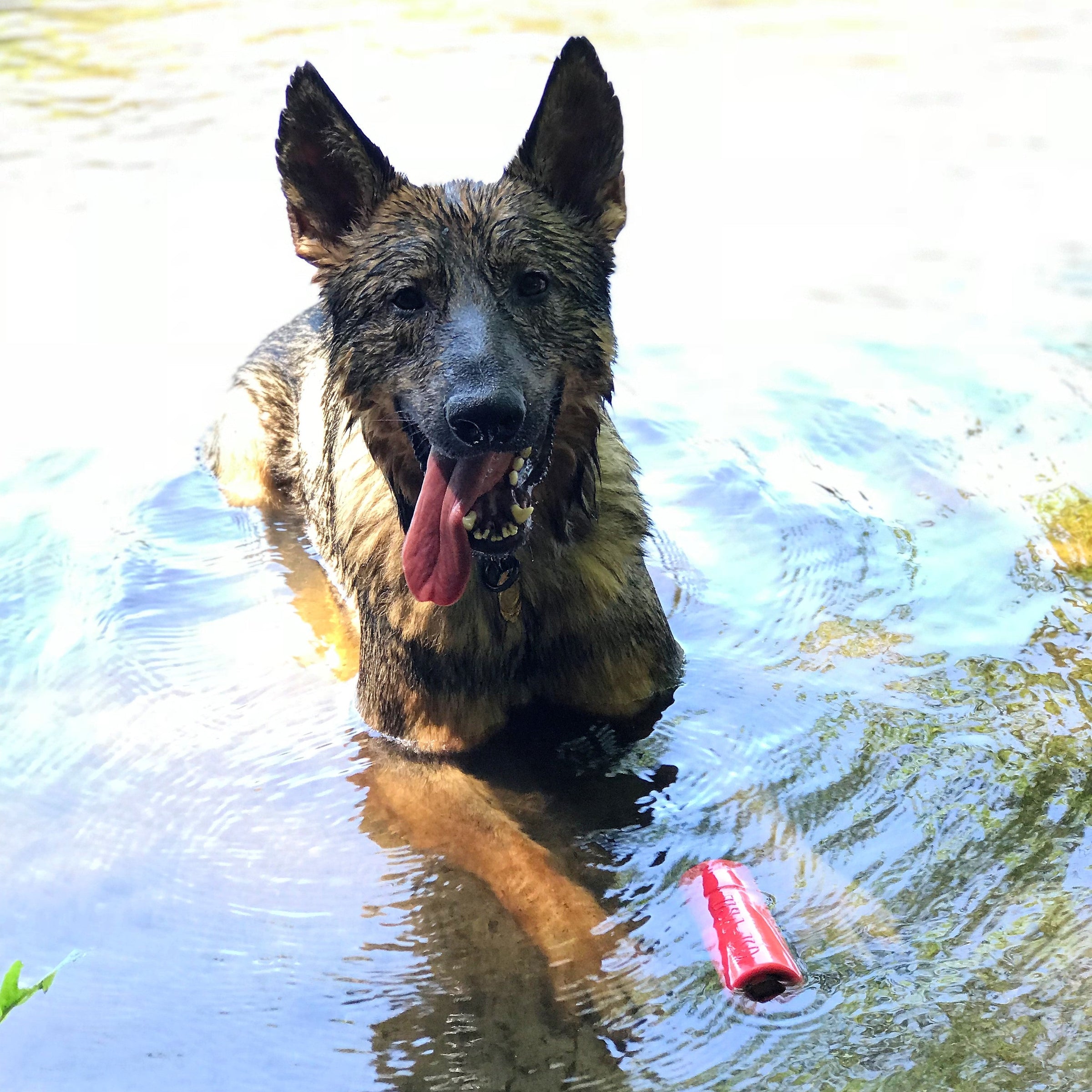 USA-K9 Firecracker Floating Training Dummy | K9 Handler Reward Toy | Red | USA Made - BIG FRENCHIES