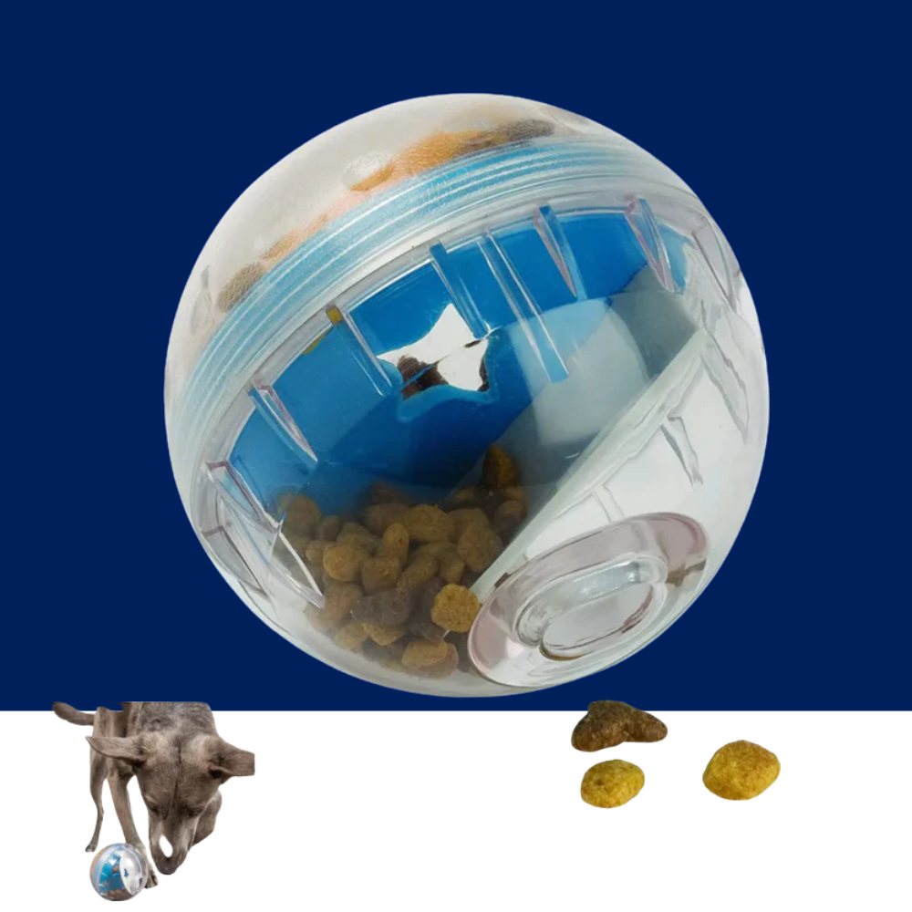 IQ Treat Ball Dog Food Dispenser & Interactive Toy - BIG FRENCHIES