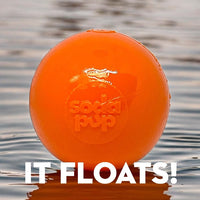 Squeak Ball - Durable Squeaky Dog Toy, Floats, Chew Toy | USA Made - BIG FRENCHIES