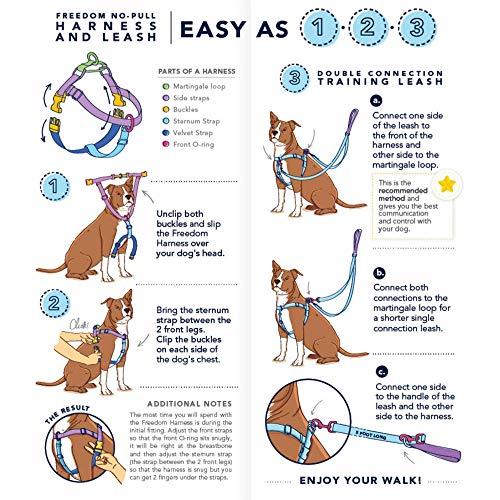 BFF (Best Friends Forever) Double Connection Leash – EarthStyle-Pet Collars & Leashes-BIG FRENCHIES-2 Hounds Design