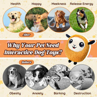 Interactive Moving Ball Rechargeable Plush Squeak Toy for Small/ Med/Large Dogs