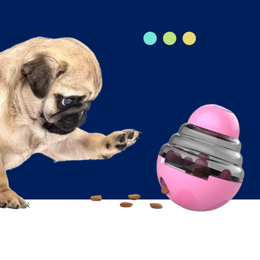 Interactive Dog Toy Slow Feeder – IQ Boosting Puzzle for Dogs & Cats - BIG FRENCHIES