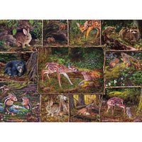 Into the Woods 350 Piece Family Jigsaw Puzzle Cobble