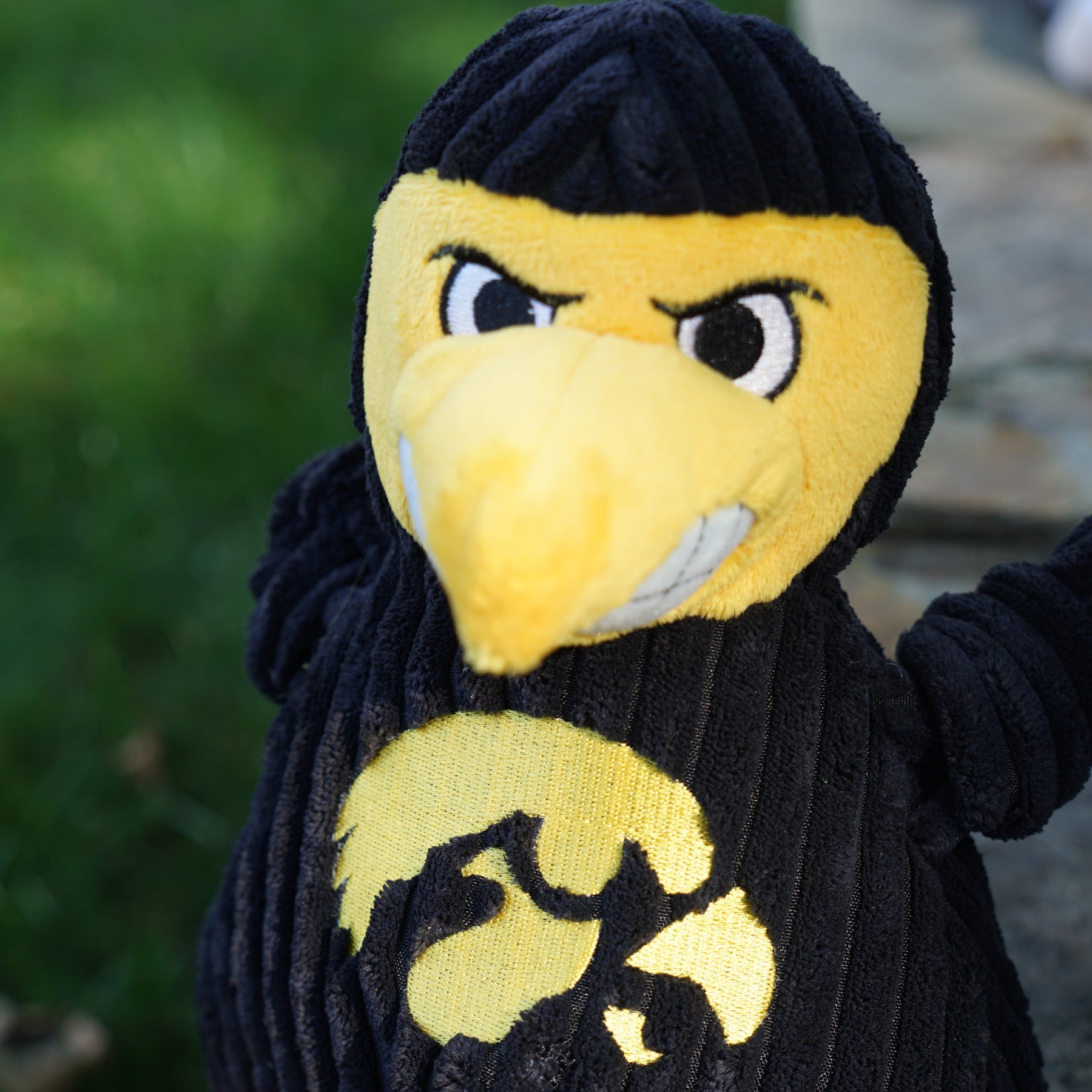 NCAA University of Iowa - Herky the Hawk Knottie® Plush Dog Toy - BIG FRENCHIES