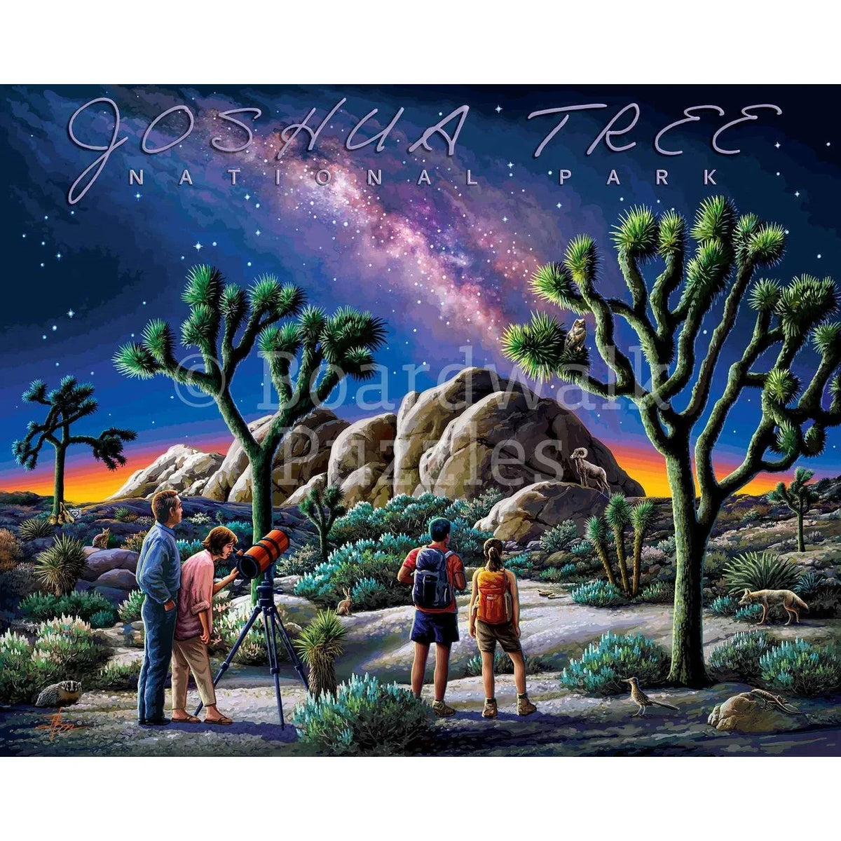 Joshua Tree National Park 500 Piece Jigsaw Puzzle Boardwalk - BIG FRENCHIES
