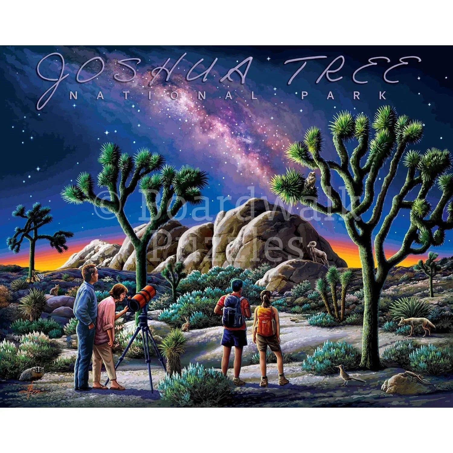 Joshua Tree National Park 500 Piece Jigsaw Puzzle Boardwalk - BIG FRENCHIES