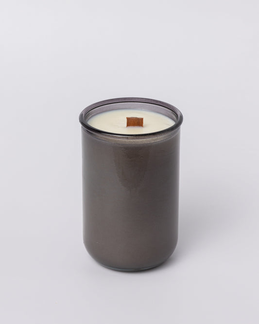 Shared Trauma Candles - Purity Culture - 13 Oz Crackling Wood Wick - Lavender & Smoked Vanilla - BIG FRENCHIES