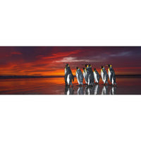 King Penguins 1000 Piece Panoramic Jigsaw Puzzle Heye - BIG FRENCHIES