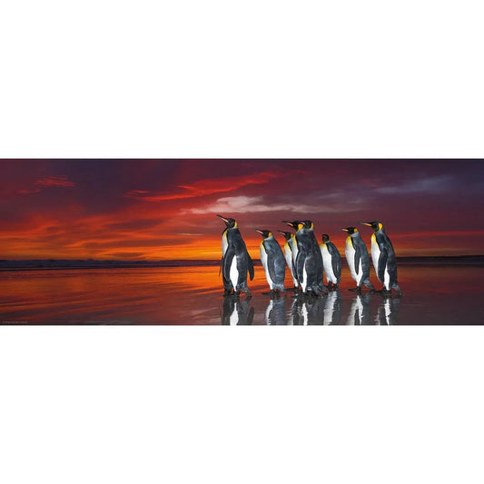 King Penguins 1000 Piece Panoramic Jigsaw Puzzle Heye - BIG FRENCHIES