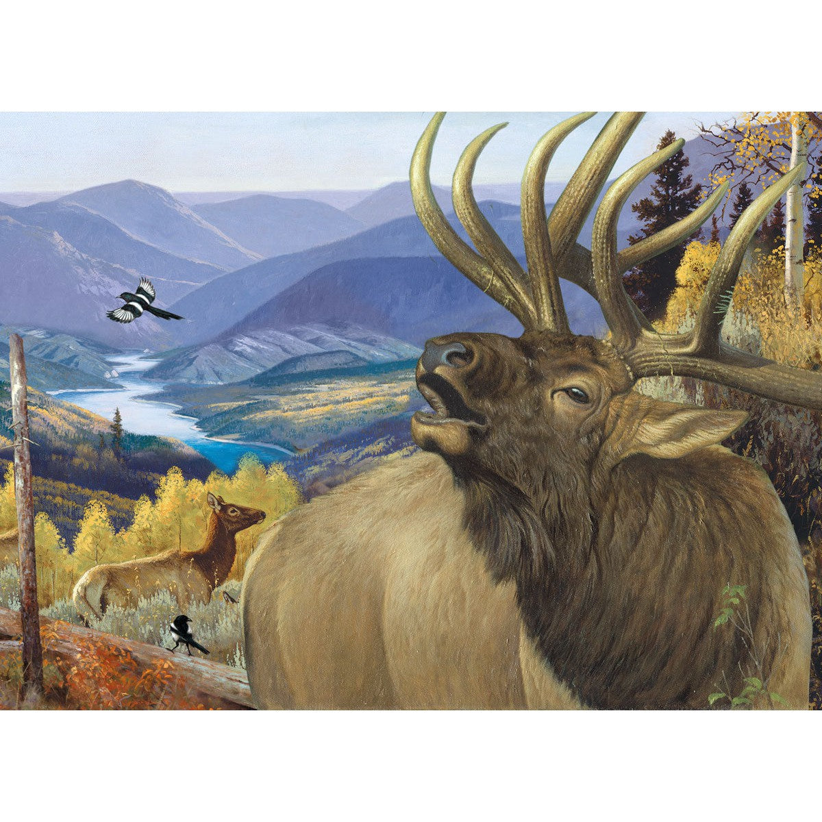 King of the Valley 1000 Piece Jigsaw Puzzle Eurographics
