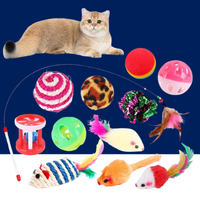 Kitten Toys Variety Pack – Interactive Play Set for Curious Cats - BIG FRENCHIES