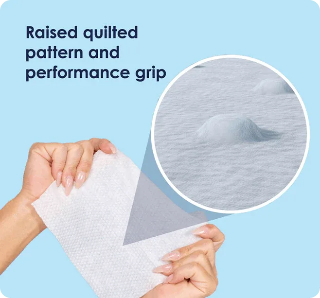 One-month supply of wipes (4 packs) - BIG FRENCHIES