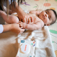 Diaper Box & Wipes Bundle | 100% Cotton-Lined TCF Diapers Size 1-6 | Kudos - BIG FRENCHIES