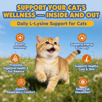L-Lysine Paste for Cats Taurine Omega 3 Immune Eye Respiratory 60ml