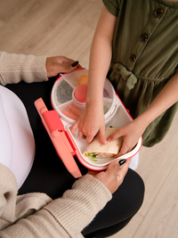 2-in-1 GoBe Lunchbox
