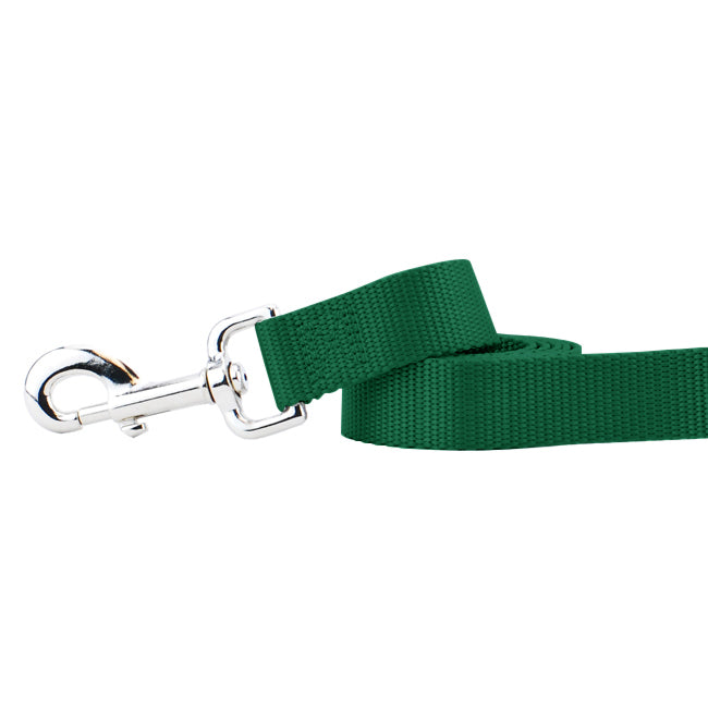 Kelly Green Nylon Dog Leash-Pet Collars & Leashes-BIG FRENCHIES-2 Hounds Design
