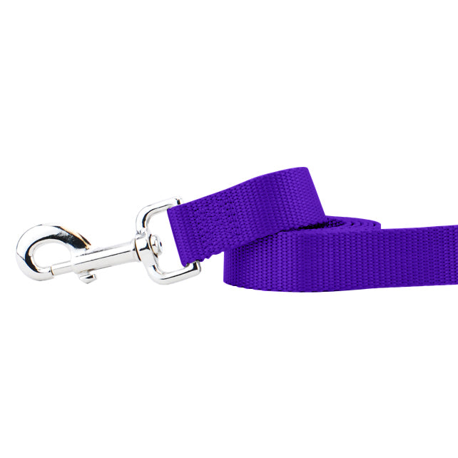 Purple Nylon Dog Leash-Pet Collars & Leashes-BIG FRENCHIES-2 Hounds Design
