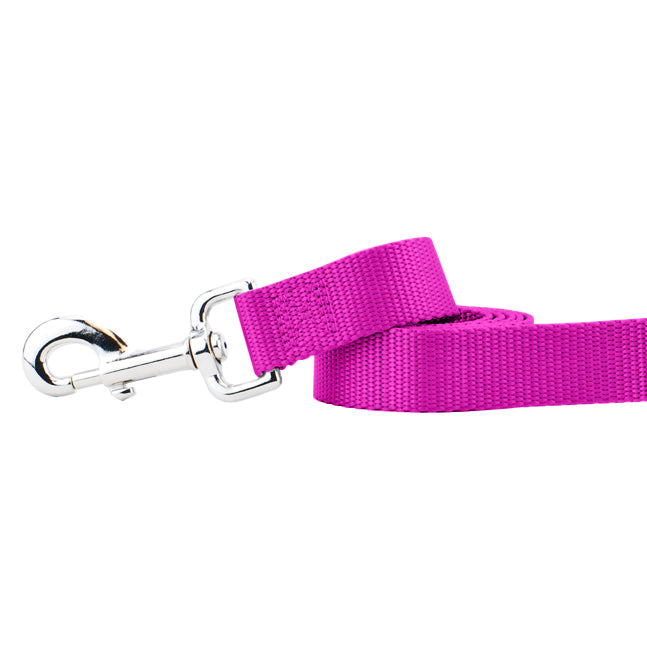 Raspberry Nylon Dog Leash-Pet Collars & Leashes-BIG FRENCHIES-2 Hounds Design