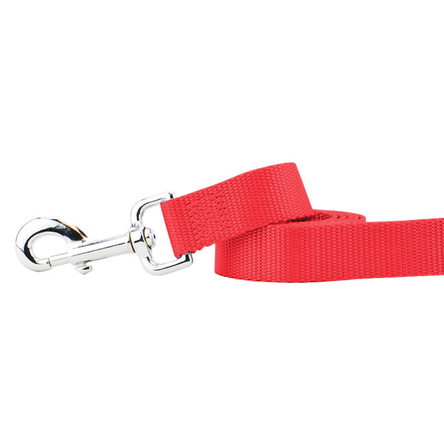 Red Nylon Dog Leash-Pet Collars & Leashes-BIG FRENCHIES-2 Hounds Design