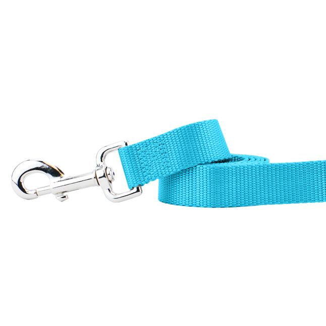 Turquoise Nylon Dog Leash-Pet Collars & Leashes-BIG FRENCHIES-2 Hounds Design