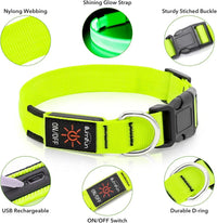 LED Dog Collar Rechargeable Light-Up Safety Collar for Night Walking (colors)