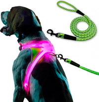 LED Light-Up Dog Harness – USB Rechargeable Reflective Adjustable Safety Vest