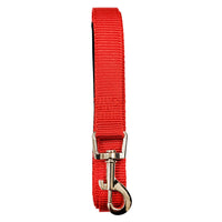 Padded Grip Dog Leash – Durable Nylon, Comfortable, and Secure – 5ft. - BIG FRENCHIES