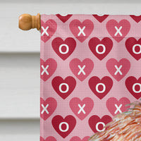 Petit Basset Griffon Vendeen Hearts Love Valentine's Day House Flag 28x40 Porch Sleeve Pole Decorative Outside Yard Banner Artwork Wall Hanging, Polyester