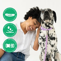 Original Waterproof Dog Collar - BIG FRENCHIES