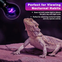 LUCKY HERP Reptile Night Heat Bulb 2 Pack 50W/75W UVA Heat Lamp E26