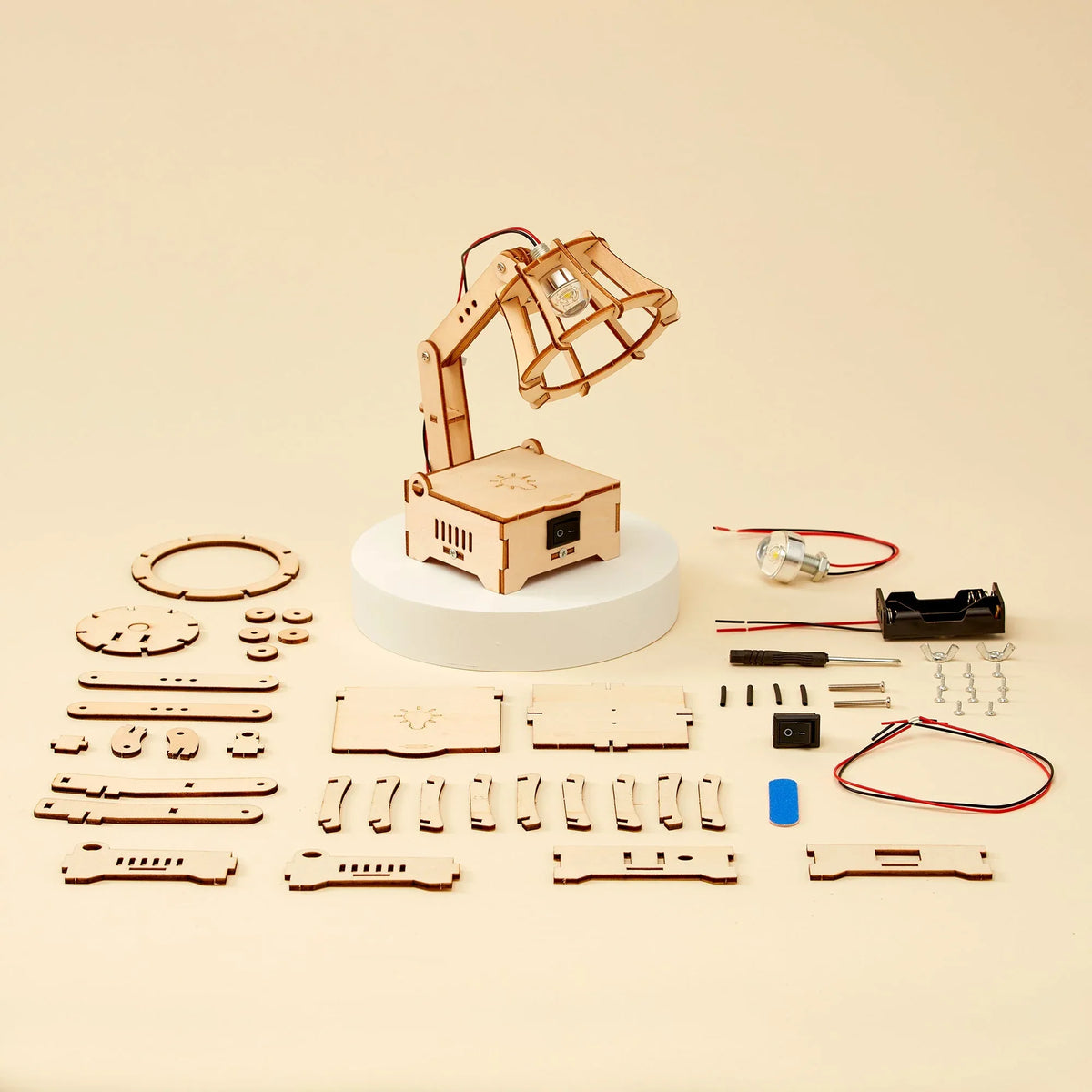 LED Lamp DIY Kit, Educational STEM Toy - BIG FRENCHIES