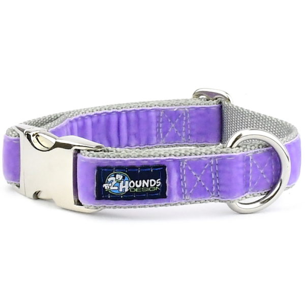 Lavender Velvet Essential Martingale Dog Collar-Pet Collars & Leashes-BIG FRENCHIES-2 Hounds Design