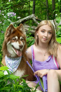 Lavender Blooms Dog Bandana & Matching Keychain