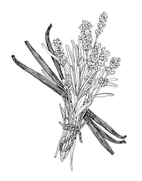 Lavender Vanilla Deodorant