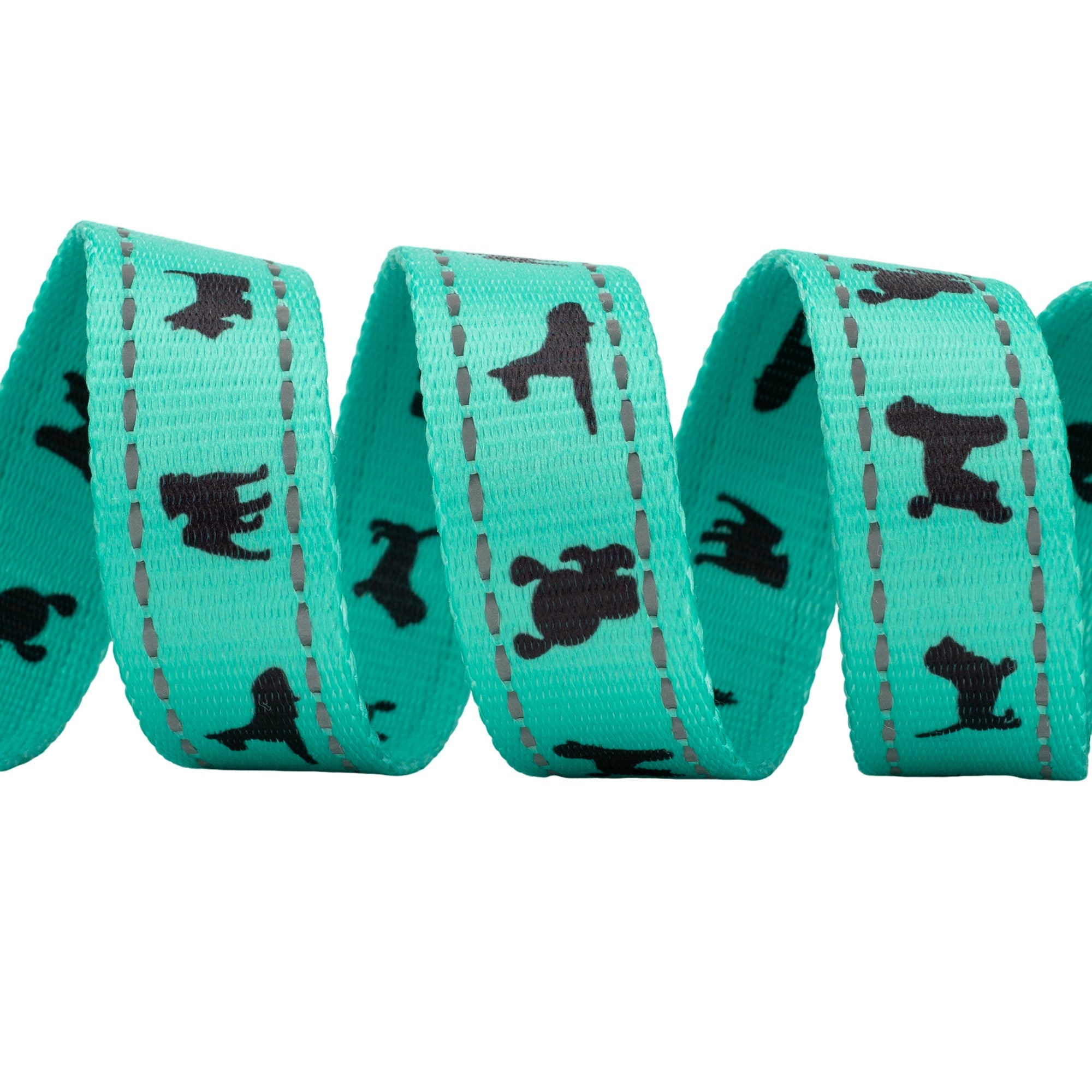 EcoBark Mint Turquoise Dog Leash - Comfort Grip Padded Leash - 4ft, 5ft, and 6ft Dog Leash for Small and Medium Dogs - BIG FRENCHIES
