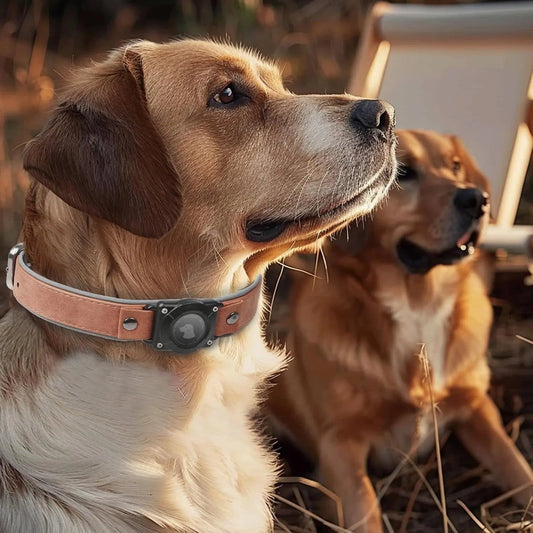 Leather AirTag Dog Collar with Built-In Holder, Reflective Adjustable Design - BIG FRENCHIES