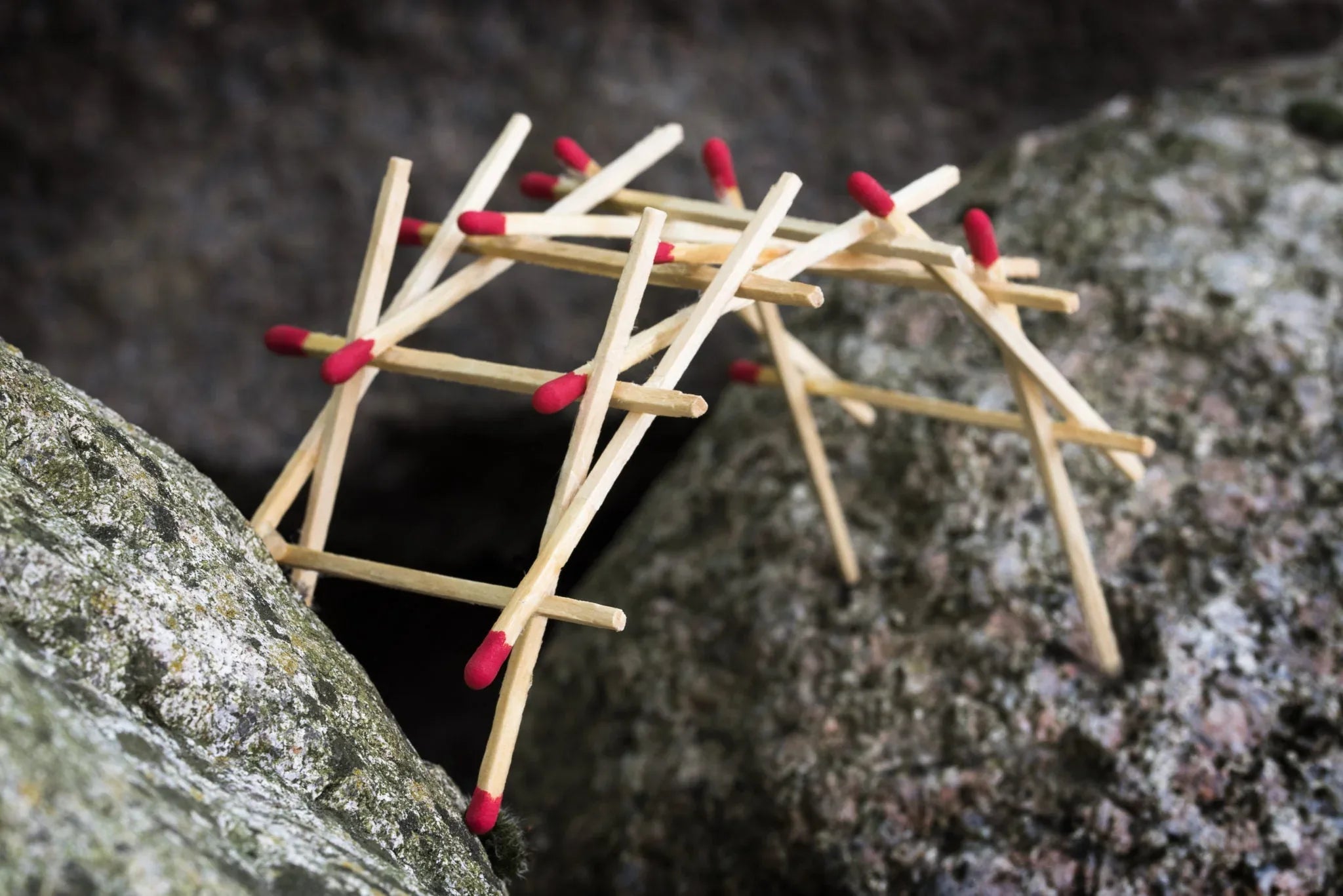 Da Vinci's Bridge DIY Kit, Educational STEM Toy - BIG FRENCHIES