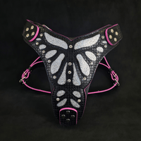 The ''Ariel'' harness